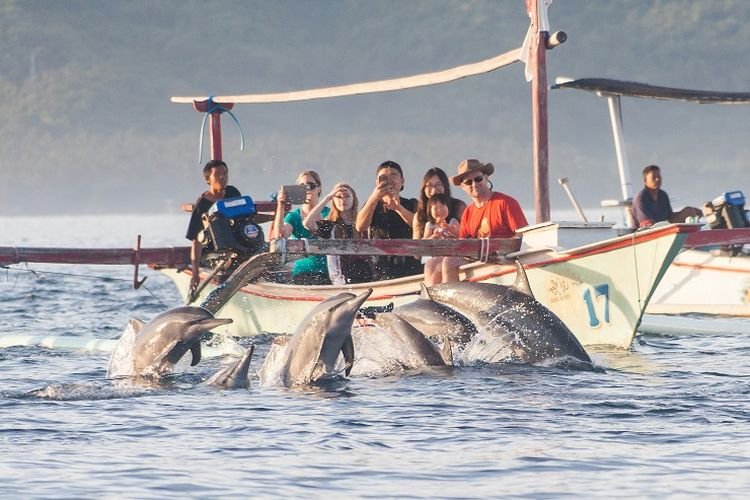 Indahnya Destinasi Pantai Lovina Pantai Lumba Lumba