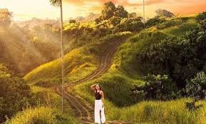 Campuhan Ridge Walk: Destinasi Trekking Hits di Ubud, Bali