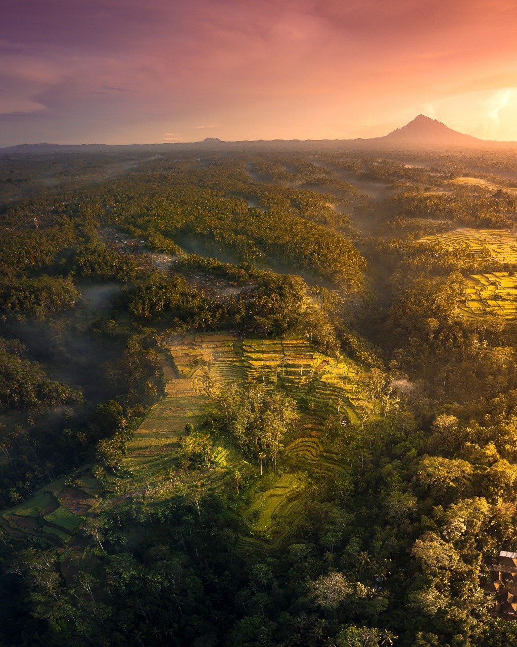 Desa Penglipuran Dinobatkan Sebagai Desa Terbersih di Dunia, Daya Tarik Wisata Budaya Bali Kian Bersinar