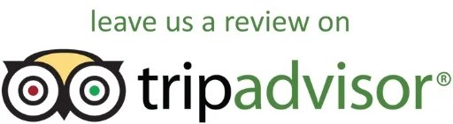 TripAdvisor Reviews