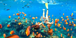 Blue Lagoon Snorkeling: Mengungkap Keindahan Bawah Laut yang Memukau