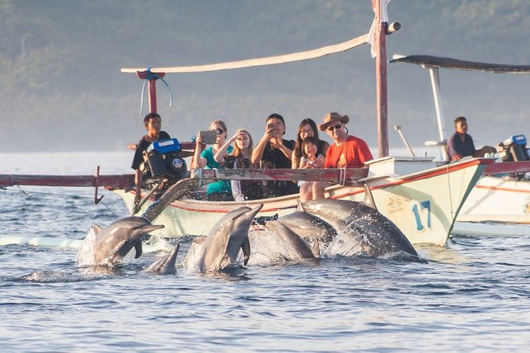 Indahnya Destinasi Pantai Lovina Pantai Lumba Lumba