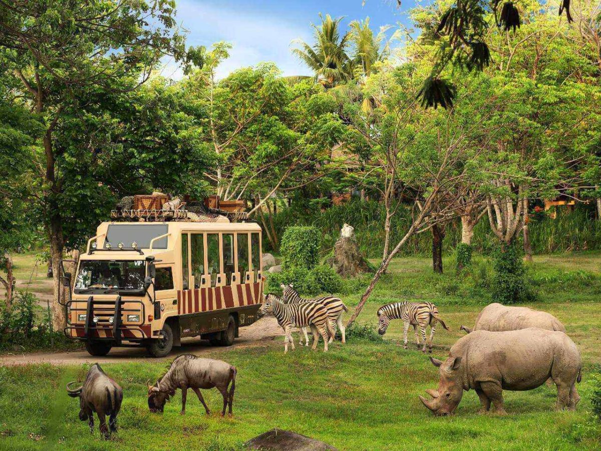 Ekspedisi Binatang Liar di Bali Safari Park - Sebuah Petualangan Seru untuk Keluarga