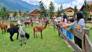Bali Farm House Buleleng: Destinasi Unik dan Menarik untuk Liburan