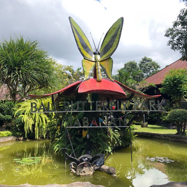 Wisata Menarik di Taman Kupu-Kupu Bali, Cocok untuk Keluarga, Teman, dan Pasangan 