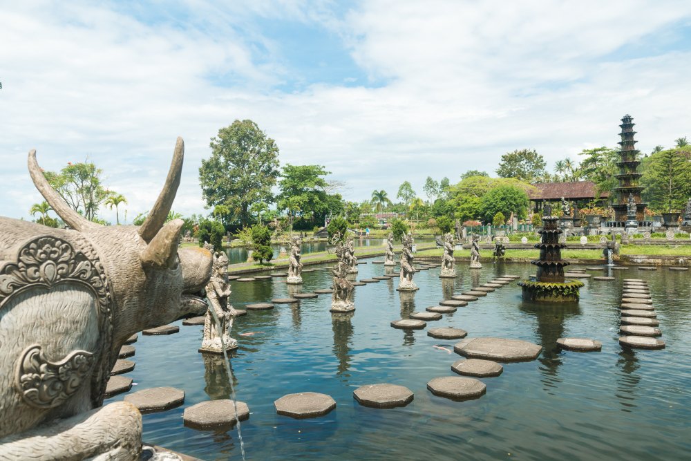 Menjelajahi Keindahan Alam yang Tersembunyi di Taman Nasional Bali Barat