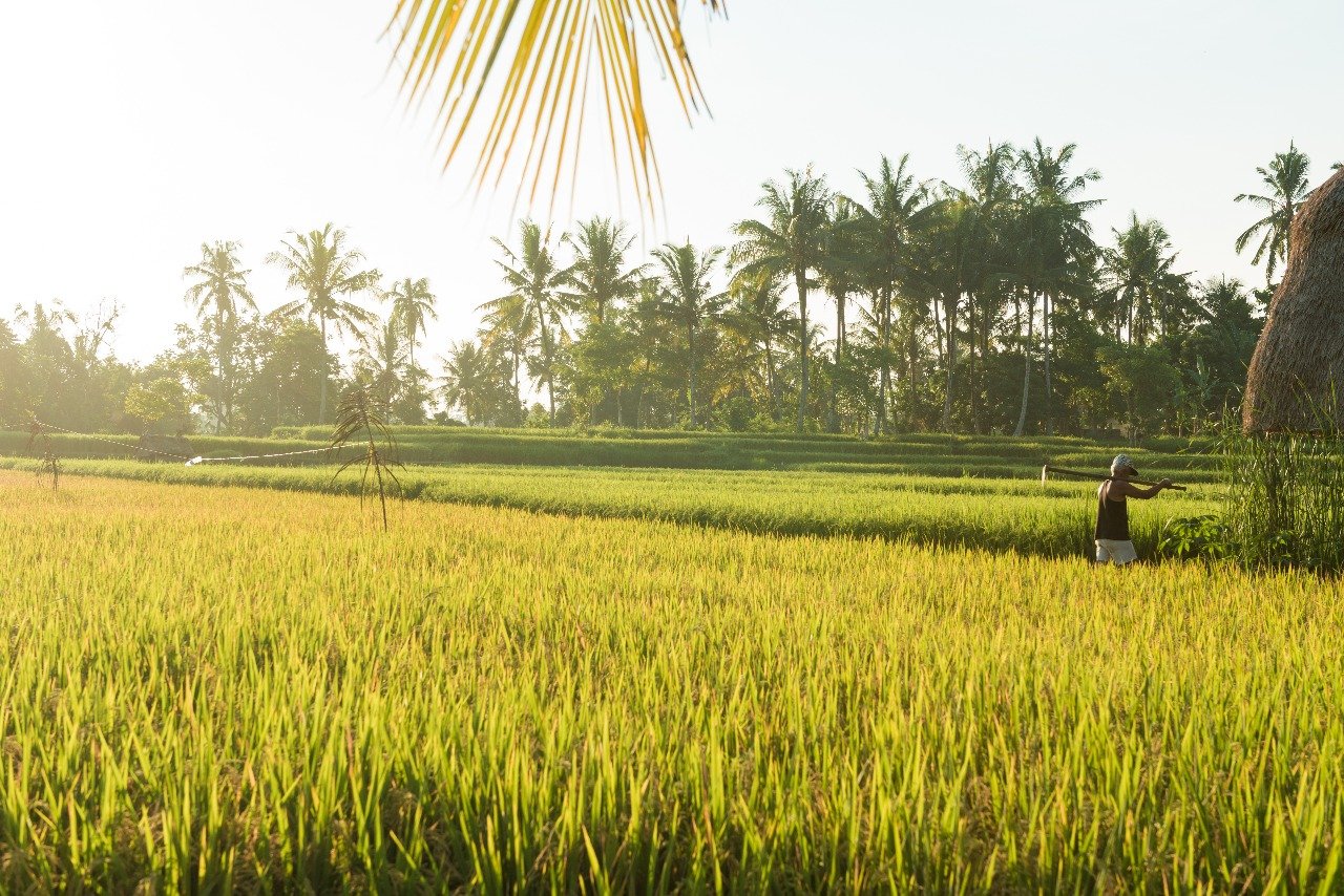 Menjelajahi Pesona Tabanan: Surga Tersembunyi di Bali