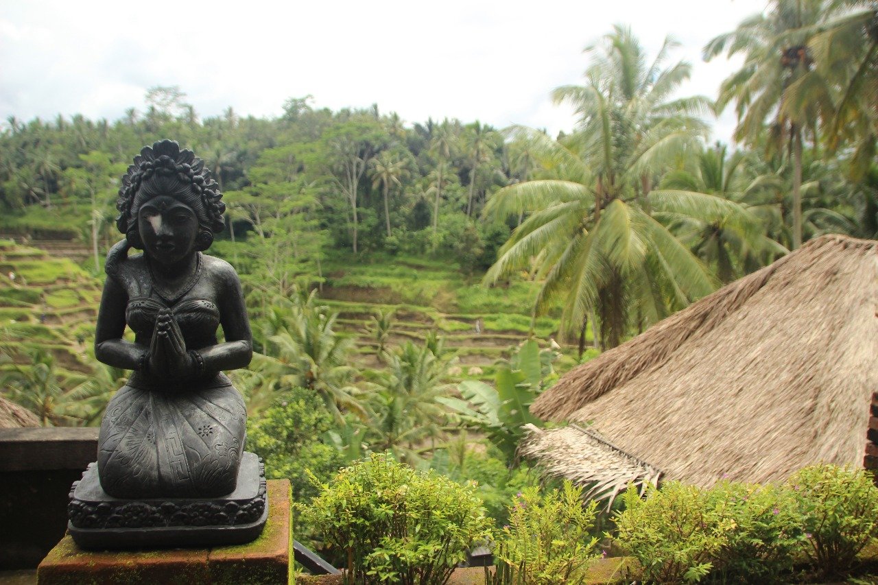 Menjelajah Jantung Budaya Bali: Wisata Sehari ke Tirta Empul dan Ubud Bersama Indo Bali Tour