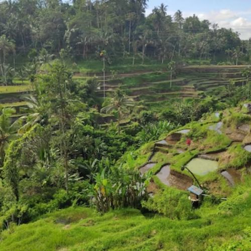 Packages 3 Day Tour